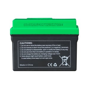 Аккумулятор FUBAG li-ion 3Ah для инверторного генератора TI 11000 A ES (арт. 646211) купить в Владимире